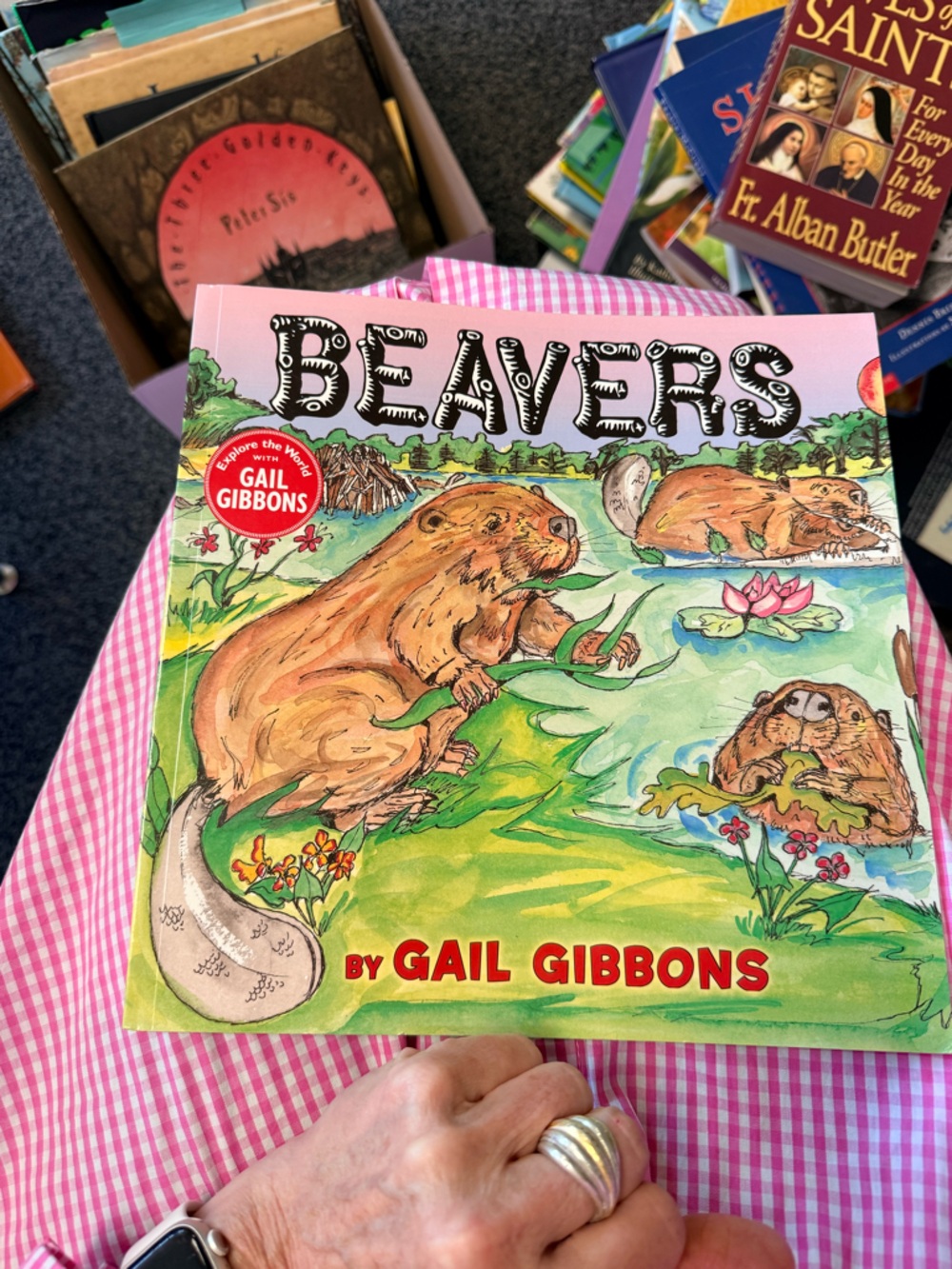 Beavers by Gail Gibbons - Illustrated Children's Book - Pink & Green Cover